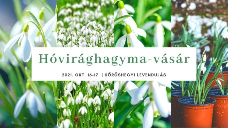 2021. Hóvirághagyma-vásár