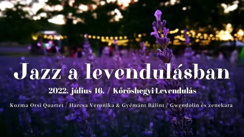 2022. Jazz a levendulásban