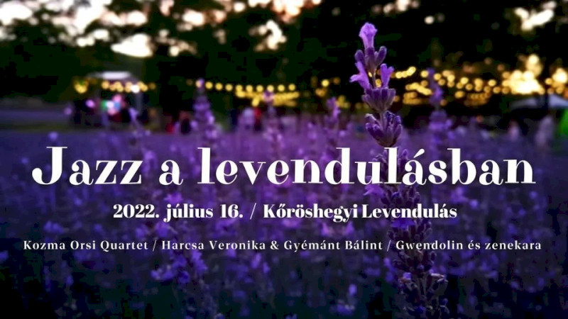 2022. Jazz a levendulásban