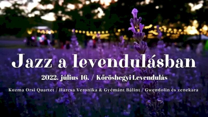 2022. Jazz a levendulásban