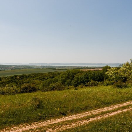 Alman-tető