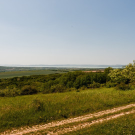 Alman-tető