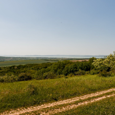 Alman-tető