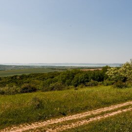 Alman-tető