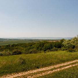 Alman-tető