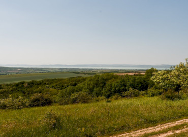 Alman-tető