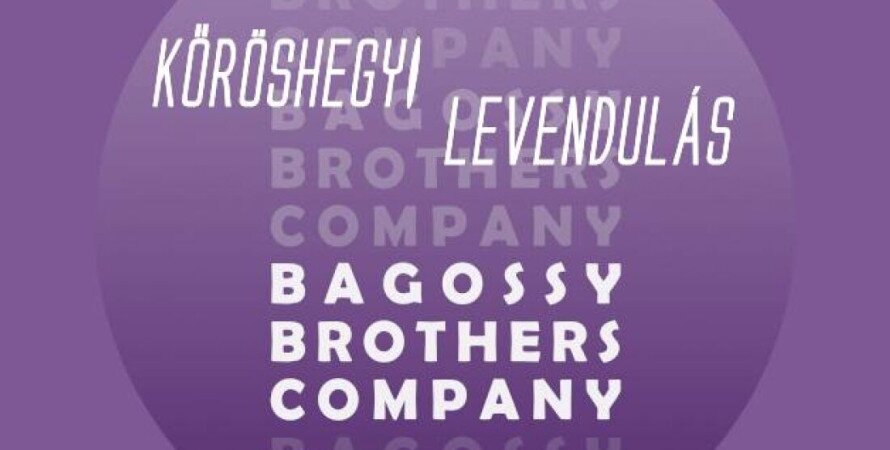 Bagossy Brothers Company a Kőröshegyi Levendulásban
