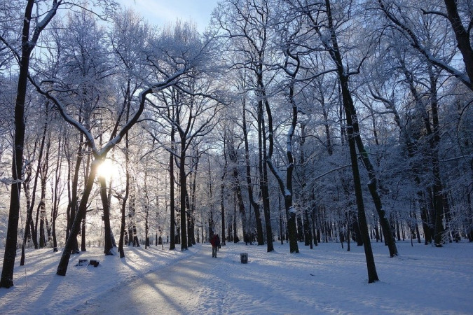 Balatonföldvári adventi-karácsonyi-újévi ünnepségsorozat