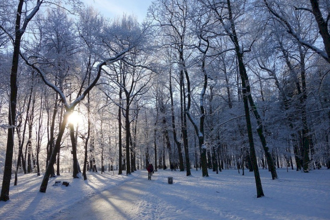 Balatonföldvári adventi-karácsonyi-újévi ünnepségsorozat