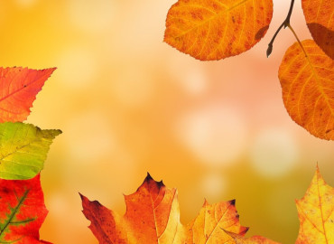 Balatonlellei Őszvarázs 2025