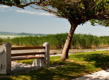 Balatonszárszó