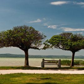 Balatonszárszó