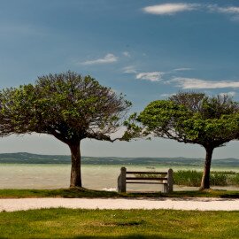 Balatonszárszó