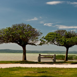 Balatonszárszó