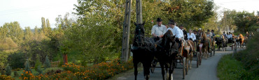 Bálványos