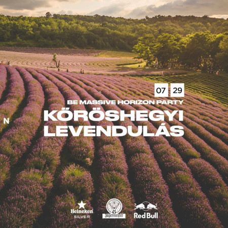 Be Massive Horizon party - Kőröshegyi Levendulás