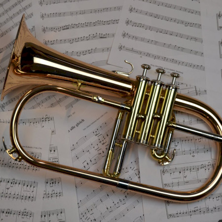 Brass Academy 2026- Nemzetközi Trombitakurzus Balatonföldváron