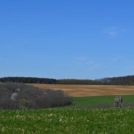 Csillagó (mérőtorony)