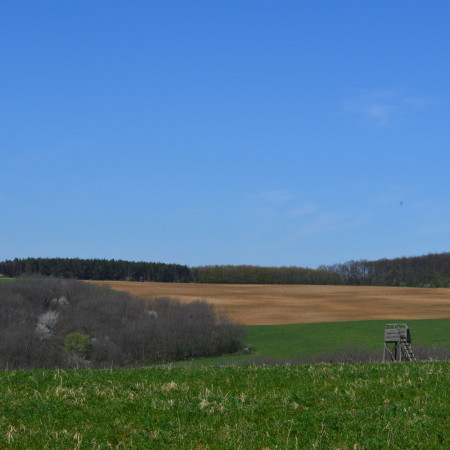 Csillagó (mérőtorony)
