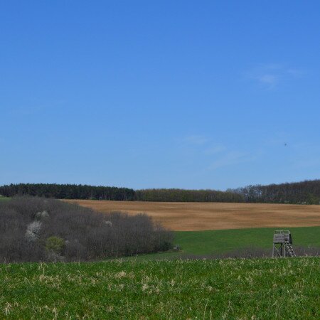 Csillagó (mérőtorony)