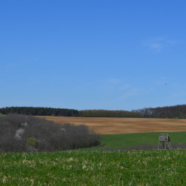 Csillagó (mérőtorony)