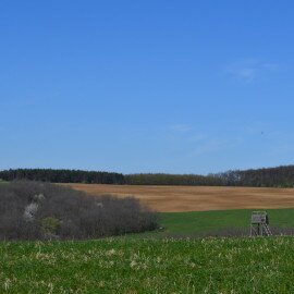 Csillagó (mérőtorony)