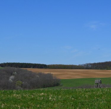 Eine Mountanbike-Tour