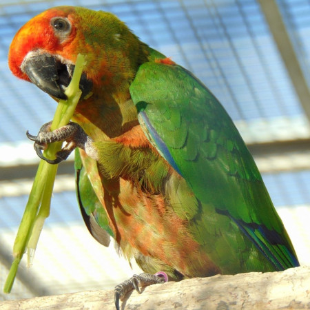 Esti hetes - Bónusz szakvezetés az alkonyatban