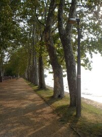 Földvár napok Balatonföldváron