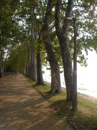 Földvár napok Balatonföldváron