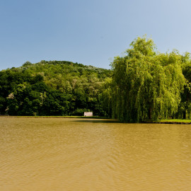Halastó Nagycsepely