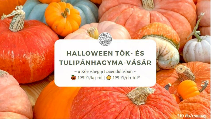 Halloween tök- és tulipánhagyma-vásár