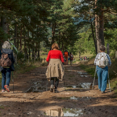 Kéktúrázás Napja 2025