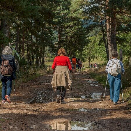 Kéktúrázás Napja 2025