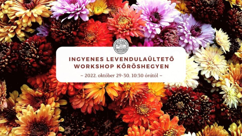 Krizantém és tulipánhagyma-vásár Kőröshegyen