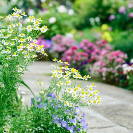 Legyen színes a kertünk! Vetélkedő Balatonföldváron