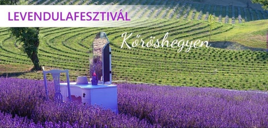Levendulafesztivál Kőröshegyen Újratöltve