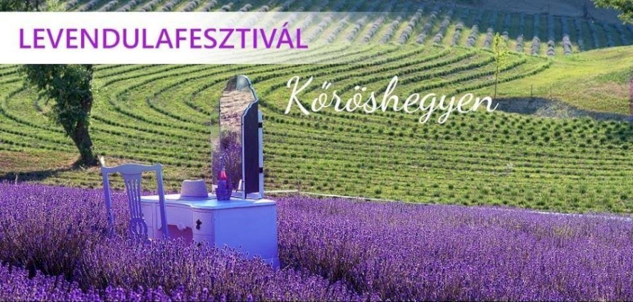 Levendulafesztivál Kőröshegyen Újratöltve