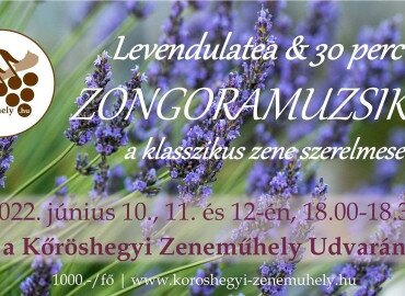 Levendulatea & élő Zongoramuzsika a Kőröshegyi Zeneműhely Udvarán