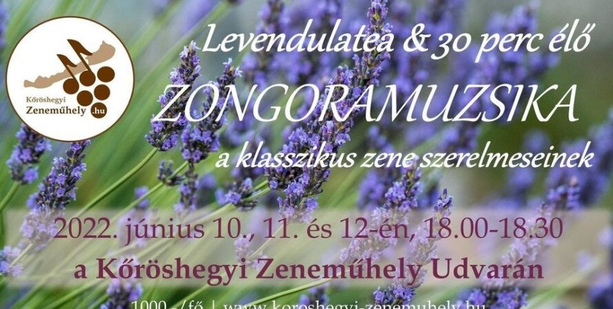 Levendulatea & élő Zongoramuzsika a Kőröshegyi Zeneműhely Udvarán