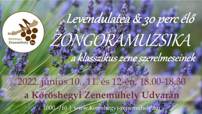 Levendulatea & élő Zongoramuzsika a Kőröshegyi Zeneműhely Udvarán
