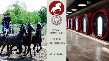 Lovasdélutánok Rádpusztán minden hétfőn és csütörtökön