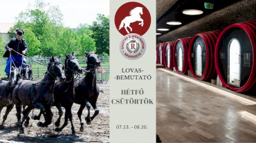 Lovasdélutánok Rádpusztán minden hétfőn és csütörtökön