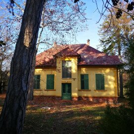 NATÁLIA VILLA