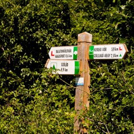 Nezdei kézfogó teljesítménytúra - 13 km