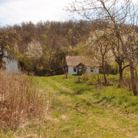 Nezdei kézfogó teljesítménytúra - 22 km