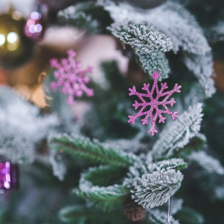 SzabSó Alapítvány Adventi ünnepsége.
