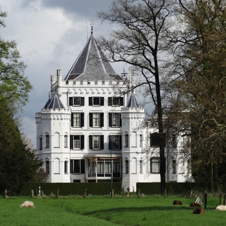 SZALAY - Egy ősi nemesi család nyomában Balatonlelle