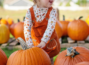 Tökfeszt a Kőröshegyi Levendulásban