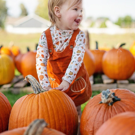Tökfeszt a Kőröshegyi Levendulásban